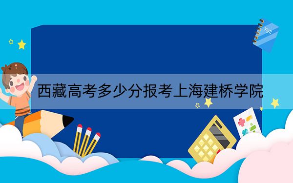 西藏高考多少分报考上海建桥学院？附2022-2024年最低录取分数线