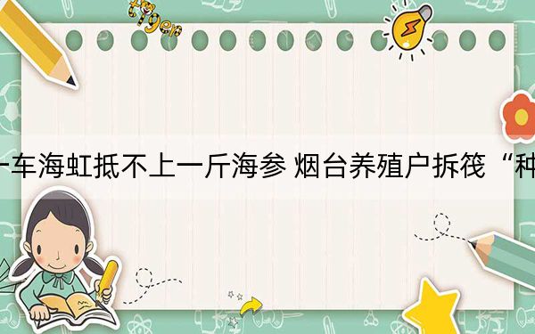 一车海虹抵不上一斤海参 烟台养殖户拆筏“种”