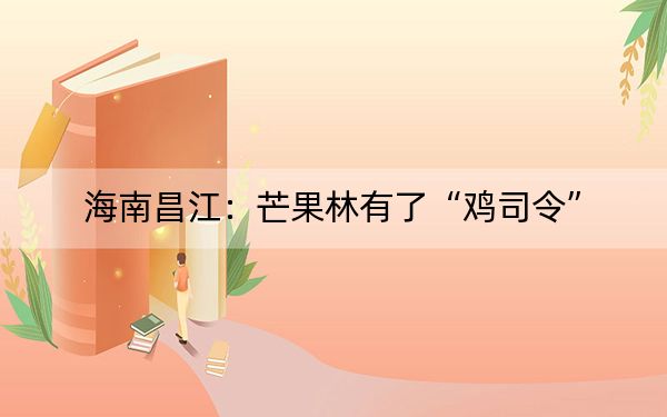 海南昌江：芒果林有了“鸡司令”