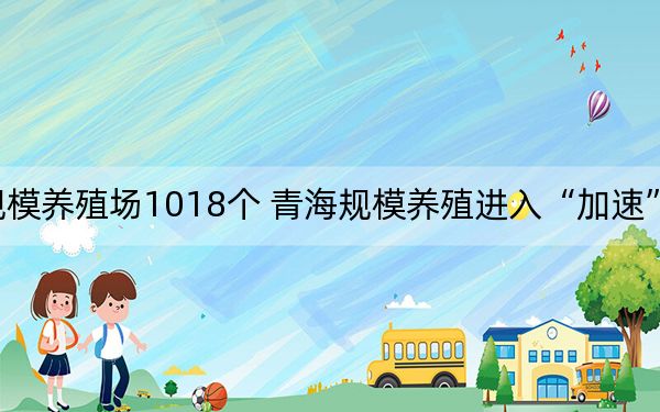 规模养殖场1018个 青海规模养殖进入“加速”通道