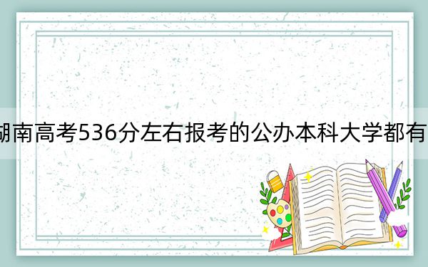 湖南高考536分左右报考的公办本科大学都有哪些？ 2024年高考有58所最低分在536左右的大学