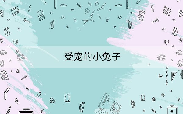 受宠的小兔子