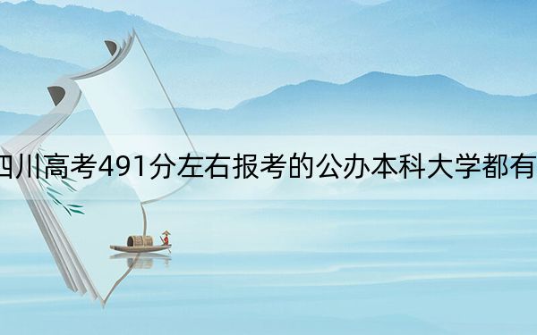 四川高考491分左右报考的公办本科大学都有哪些？（附带2022-2024年491左右大学名单）