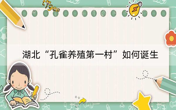 湖北“孔雀养殖第一村”如何诞生