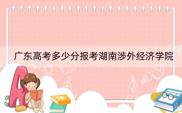 广东高考多少分报考湖南涉外经济学院？2024年历史类467分 物理类投档线472分