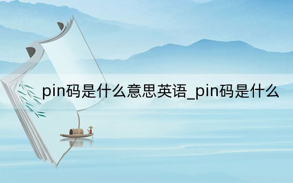 pin码是什么意思英语_pin码是什么