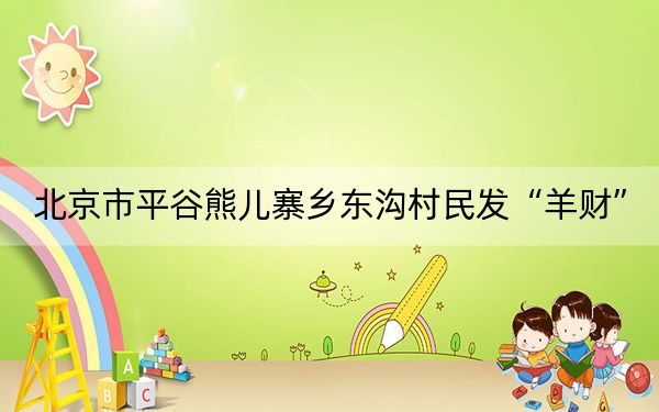 北京市平谷熊儿寨乡东沟村民发“羊财”