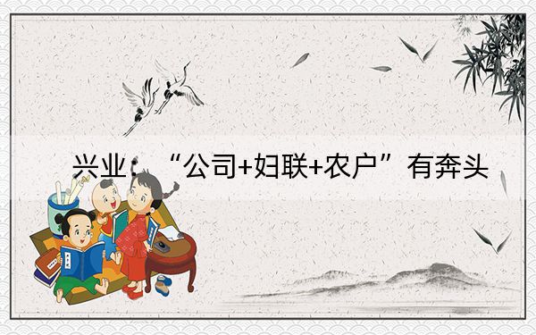 兴业:“公司+妇联+农户”有奔头