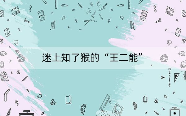 迷上知了猴的“王二能”