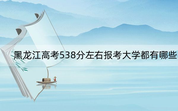 黑龙江高考538分左右报考大学都有哪些？ 2024年一共25所大学录取