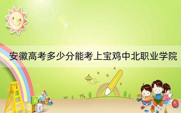 安徽高考多少分能考上宝鸡中北职业学院？2024年历史类最低247分 物理类录取分310分