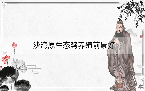 沙湾原生态鸡养殖前景好