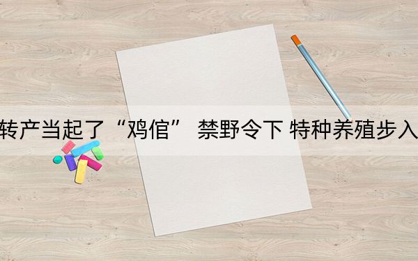 “孔雀大王”转产当起了“鸡倌” 禁野令下 特种养殖步入转型“三岔口”