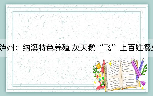 泸州:纳溪特色养殖 灰天鹅“飞”上百姓餐桌