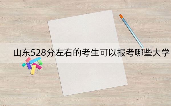 山东528分左右的考生可以报考哪些大学？