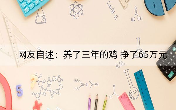 网友自述：养了三年的鸡 挣了65万元