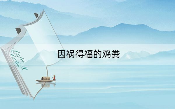 因祸得福的鸡粪