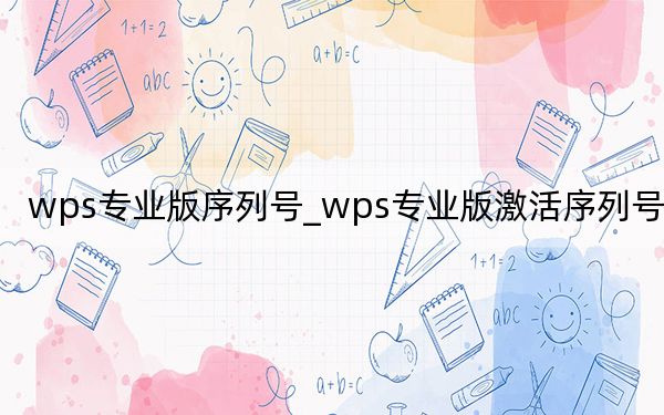 wps专业版序列号_wps专业版激活序列号大全