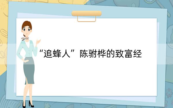 “追蜂人”陈驸桦的致富经