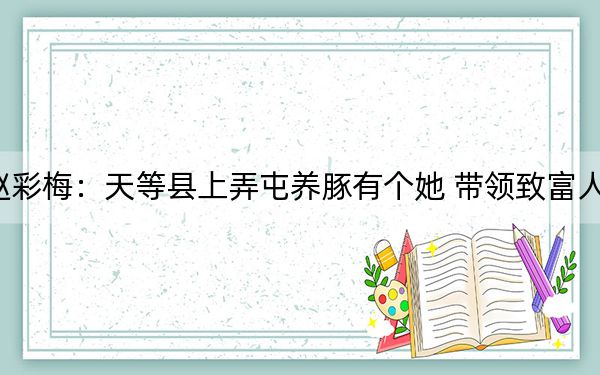 赵彩梅:天等县上弄屯养豚有个她 带领致富人人