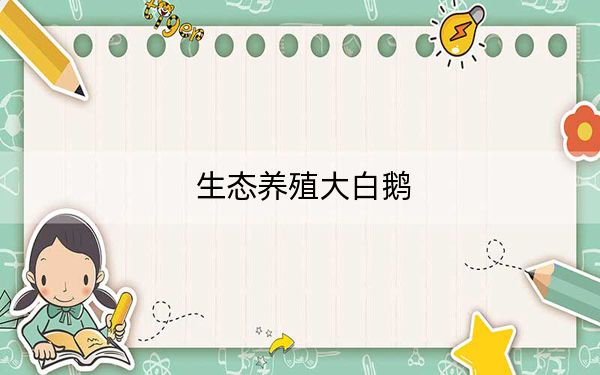 生态养殖大白鹅