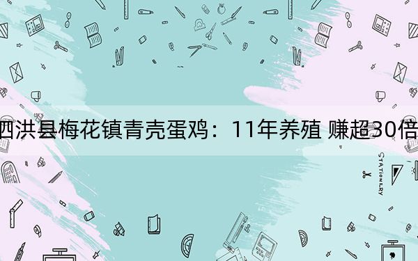 泗洪县梅花镇青壳蛋鸡：11年养殖 赚超30倍利润