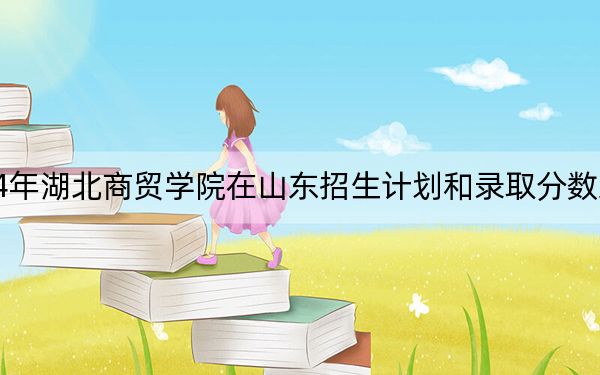 2024年湖北商贸学院在山东招生计划和录取分数线是多少？山东考生2025年参考