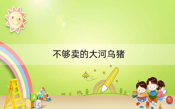 不够卖的大河乌猪