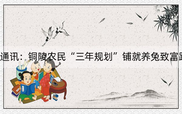 通讯：铜陵农民“三年规划”铺就养兔致富路