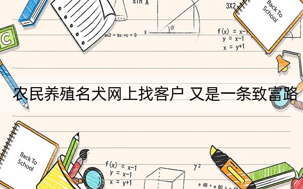 农民养殖名犬网上找客户 又是一条致富路