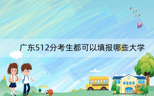 广东512分考生都可以填报哪些大学？