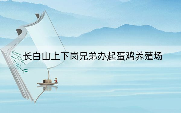 长白山上下岗兄弟办起蛋鸡养殖场