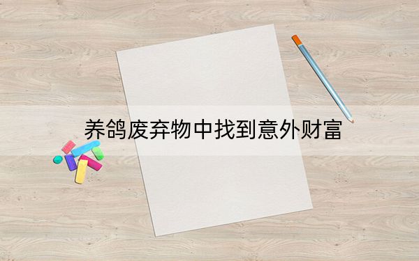 养鸽废弃物中找到意外财富