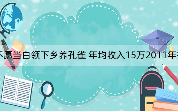 不愿当白领下乡养孔雀 年均收入15万2011年拟建合