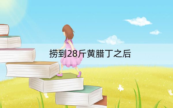 捞到28斤黄腊丁之后