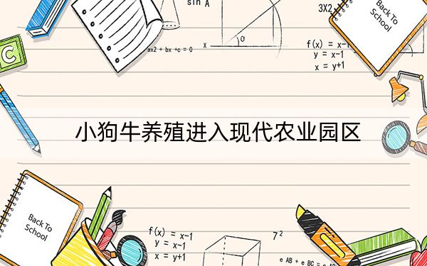 小狗牛养殖进入现代农业园区