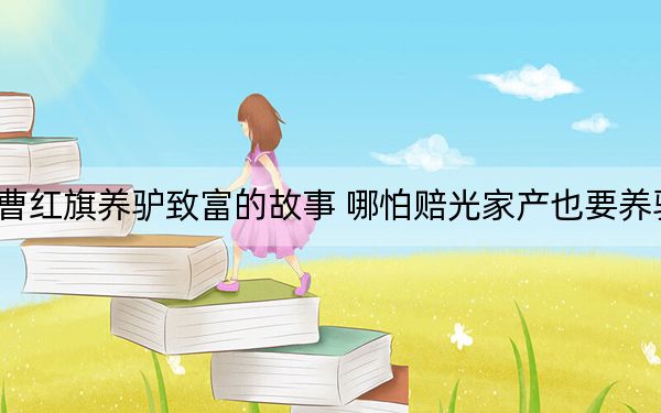 曹红旗养驴致富的故事 哪怕赔光家产也要养驴