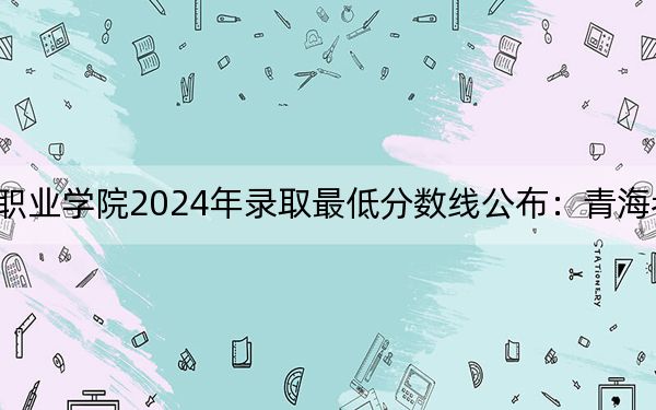 广州松田职业学院2024年录取最低分数线公布:青海考生2025年参考