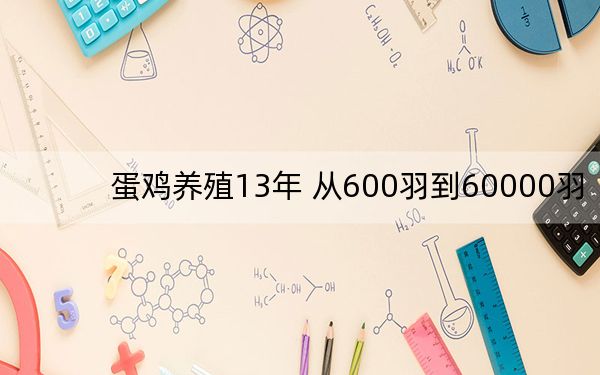 蛋鸡养殖13年 从600羽到60000羽