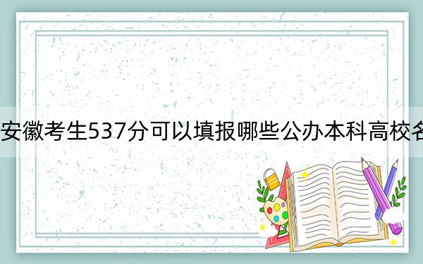 安徽考生537分可以填报哪些公办本科高校名单？