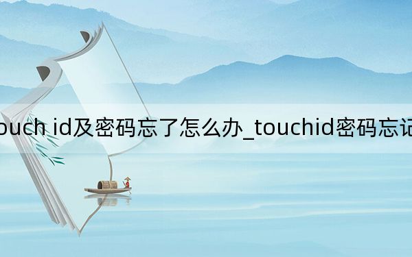 touch id及密码忘了怎么办_touchid密码忘记了怎么办