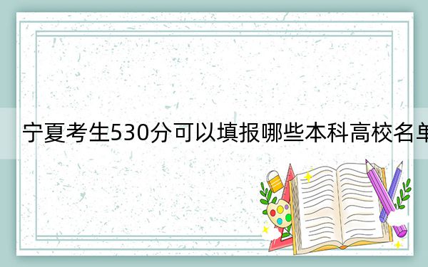 宁夏考生530分可以填报哪些本科高校名单？ 2024年一共录取5所大学