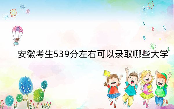 安徽考生539分左右可以录取哪些大学？ 2024年一共52所大学录取