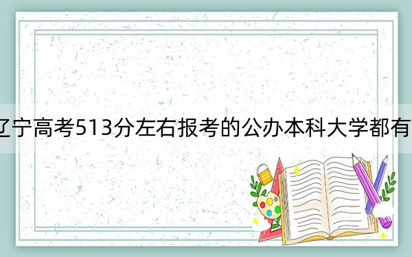 辽宁高考513分左右报考的公办本科大学都有哪些？（附带2022-2024年513左右大学名单）