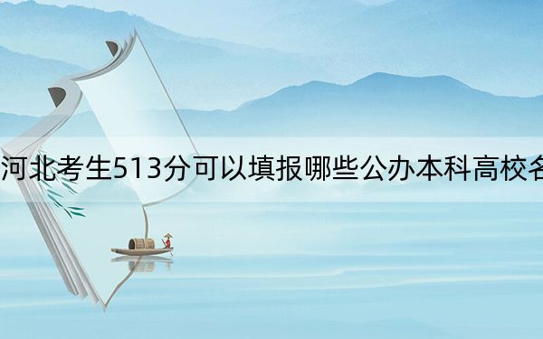 河北考生513分可以填报哪些公办本科高校名单？（供2025年考生参考）