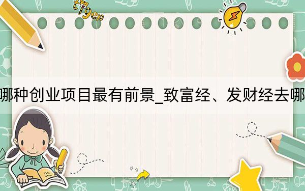 哪种创业项目最有前景_致富经、发财经去哪里