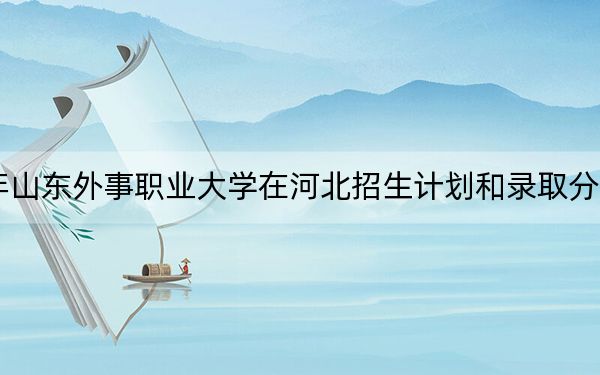 2024年山东外事职业大学在河北招生计划和录取分数线是多少？河北考生2025年参考