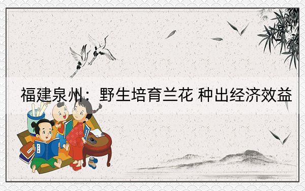 福建泉州：野生培育兰花 种出经济效益