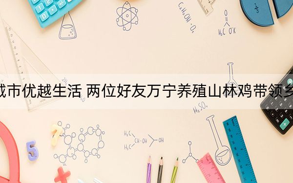放弃城市优越生活 两位好友万宁养殖山林鸡带领乡亲致富