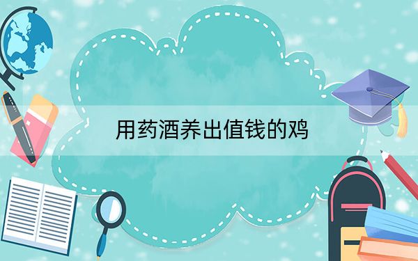 用药酒养出值钱的鸡